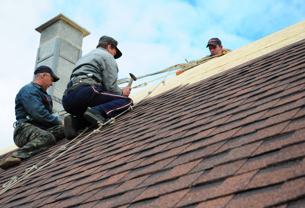 Best Shingle Roofing Installation  in Waynesboro, VA