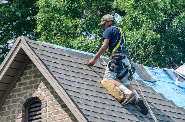 Best New Roof Installation  in Waynesboro, VA